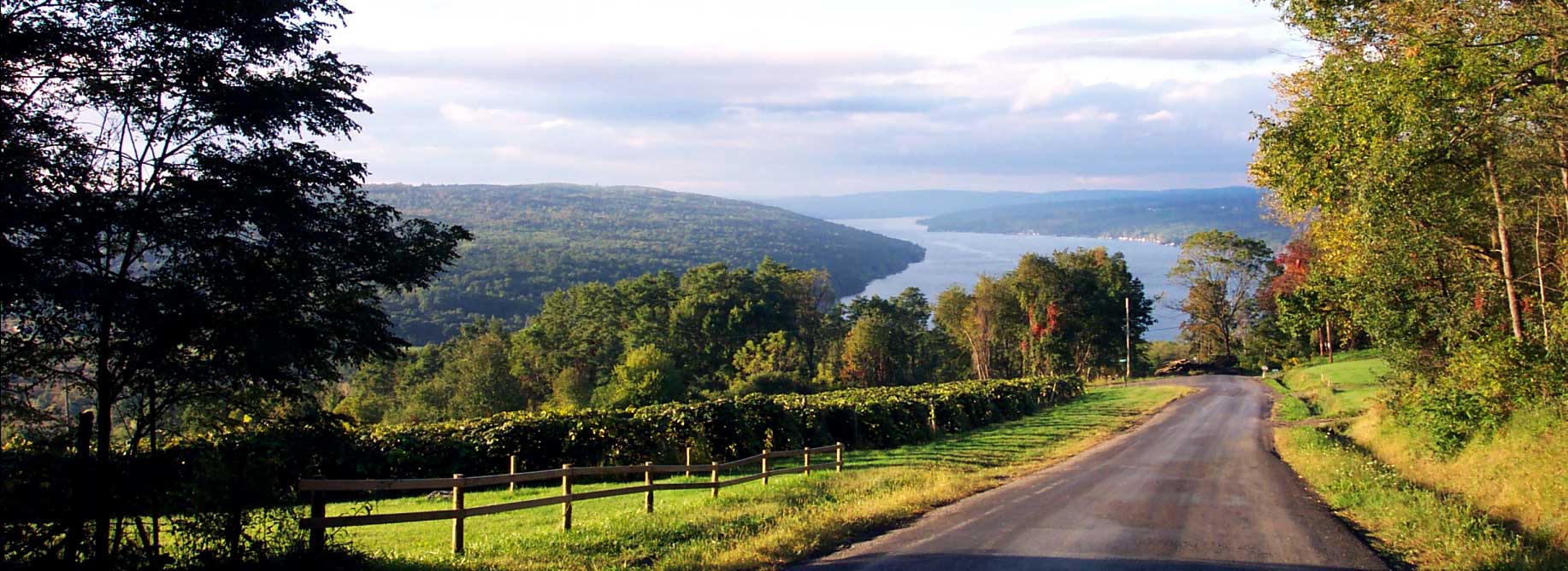 Keuka Lake View